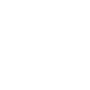 Icon vegan